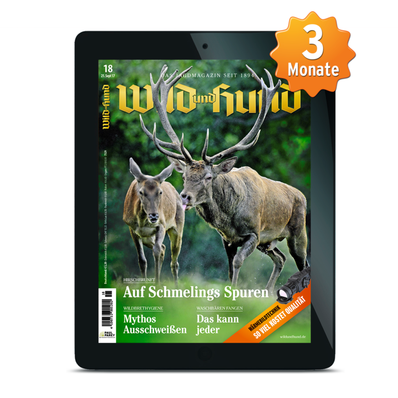 ePAPER JAHRESABO WILD UND HUND ·